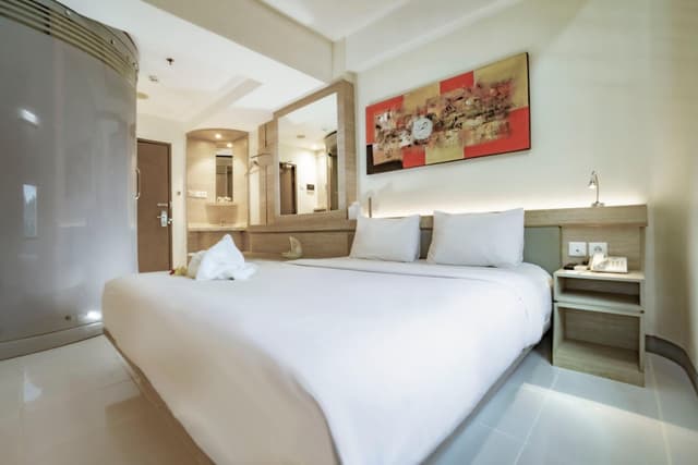Superior Double or Twin Room