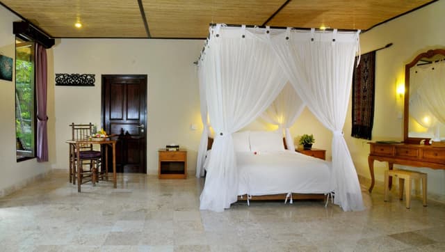 Large Double or Twin Room
