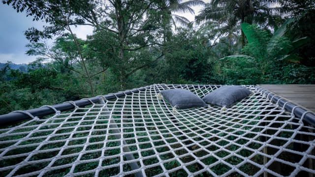 Dome Tent with Hammock 3