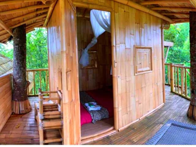 Tree - Glamping
