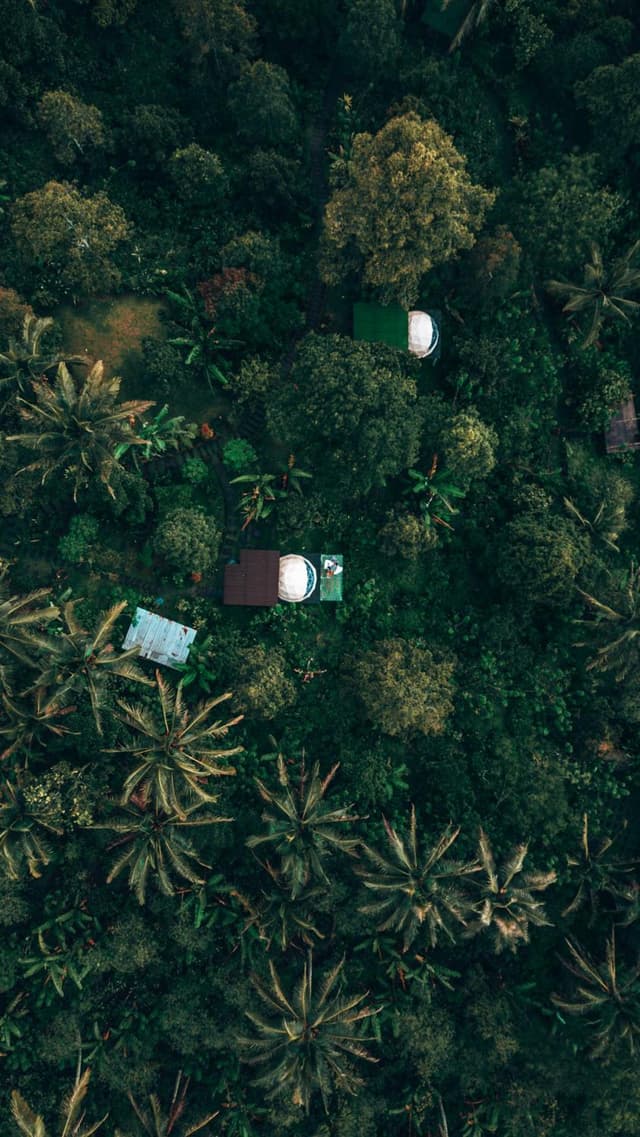 Dome Tent with Hammock 2