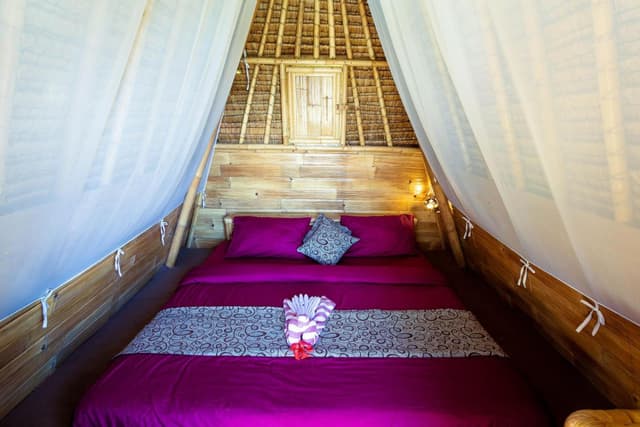 Star - Glamping
