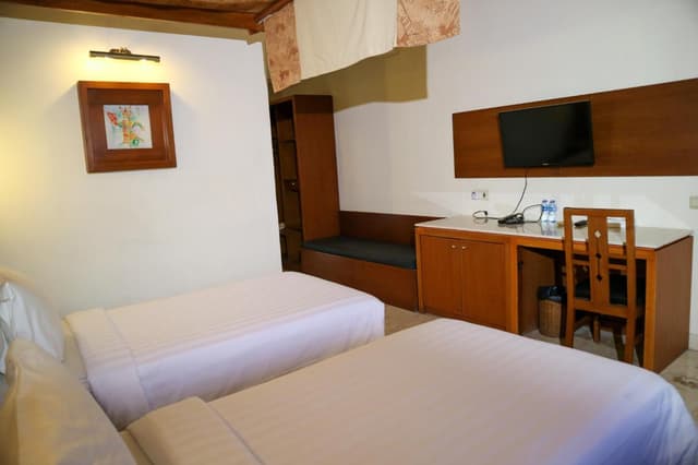 Deluxe Double or Twin Room with Balcony