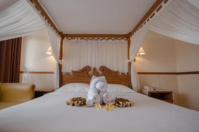 Deluxe Double or Twin Room