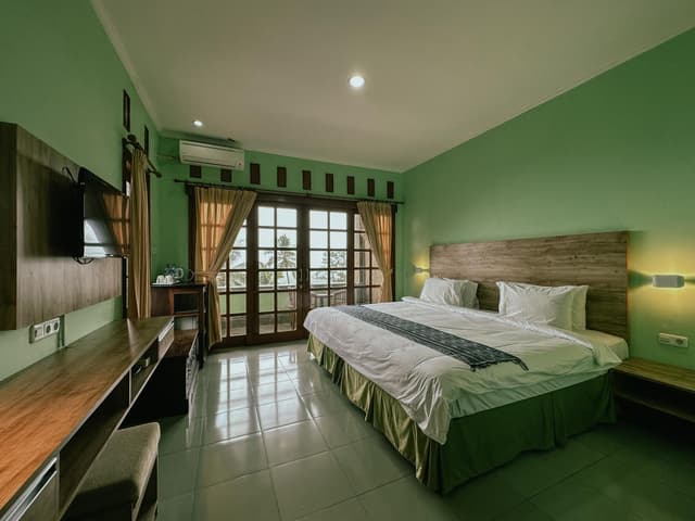 Deluxe Double or Twin Room with Mountain View