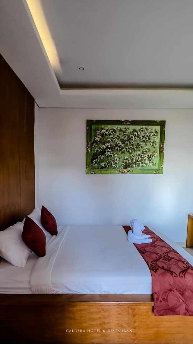 Superior Double or Twin Room with Garden View