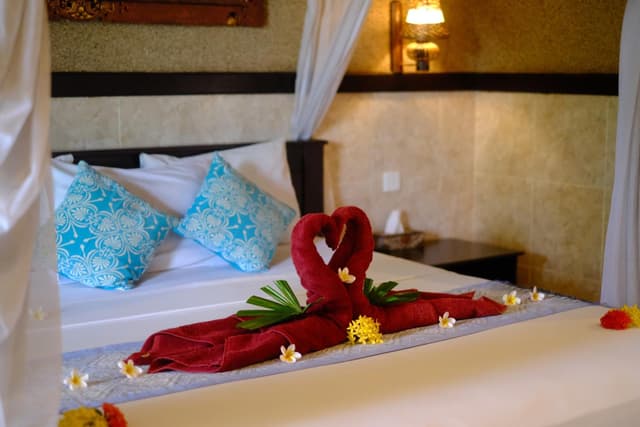 Deluxe Double Room with Fan