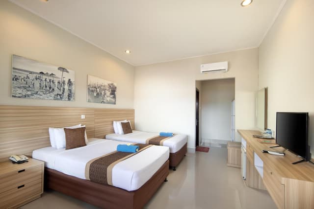 Superior Double or Twin Room