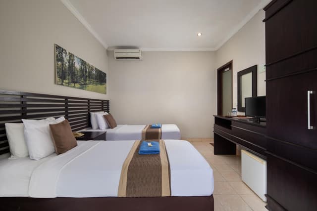 Deluxe Double or Twin Room