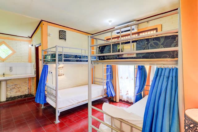 Single Bed in Mixed Dormitory Room