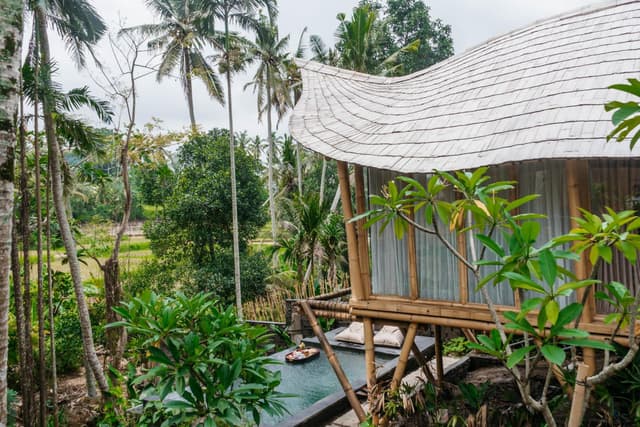 One-Bedroom Bamboo Pool Villa