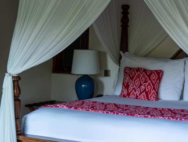 Treetops Lodge with Afternoon Tea