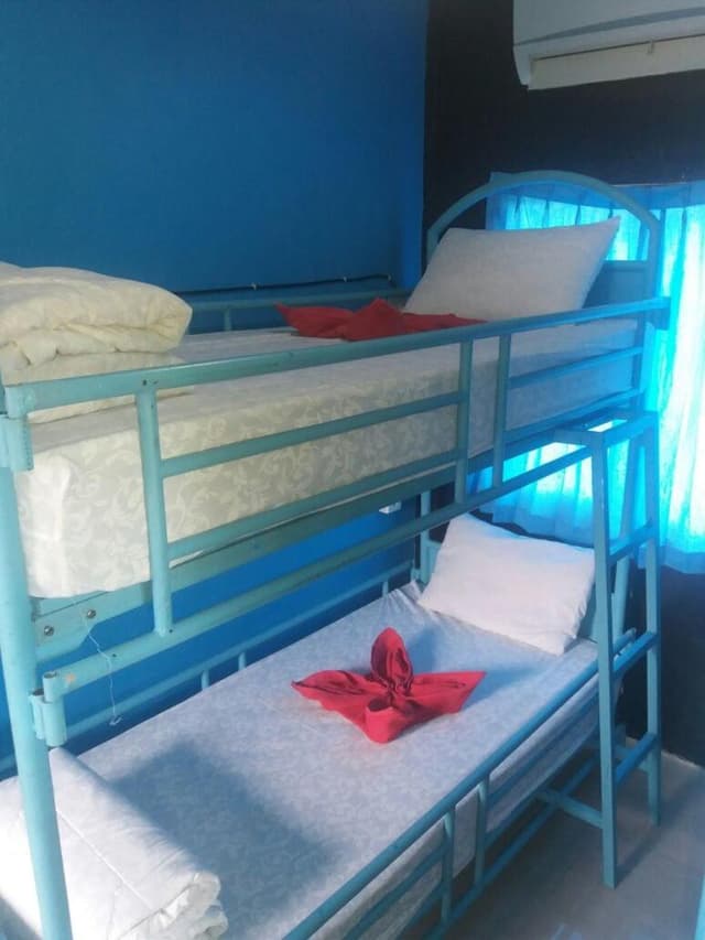 Bed in 4-Bed Female Dormitory Room