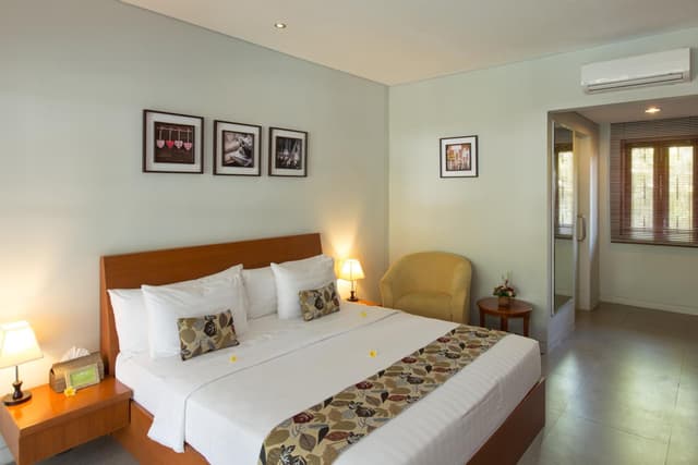 Deluxe Double or Twin Room