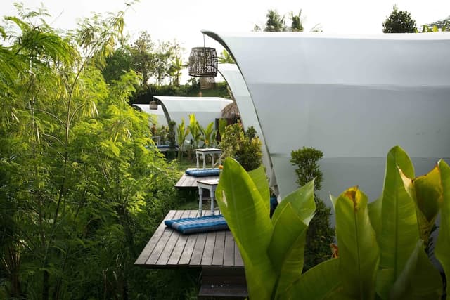 Deluxe Glamping Hammock