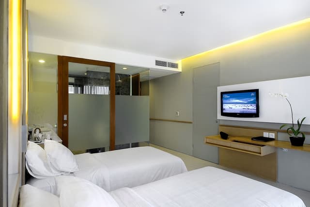 Superior Double or Twin Room