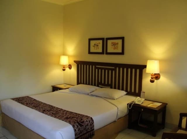 Superior Double or Twin Room, Garden View
