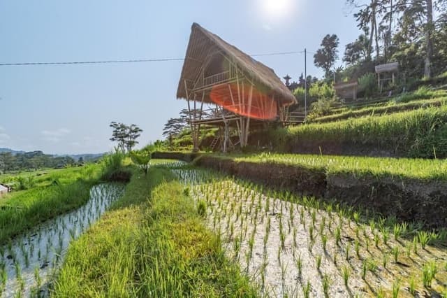 Bamboo Villa, 1 Bedroom