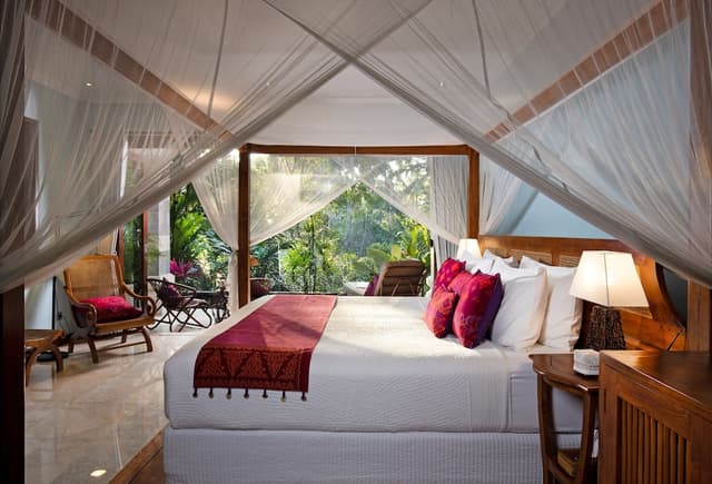 Standard Suite (Jungle View)