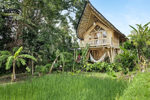 Bamboo Lodge Non-Pool Access