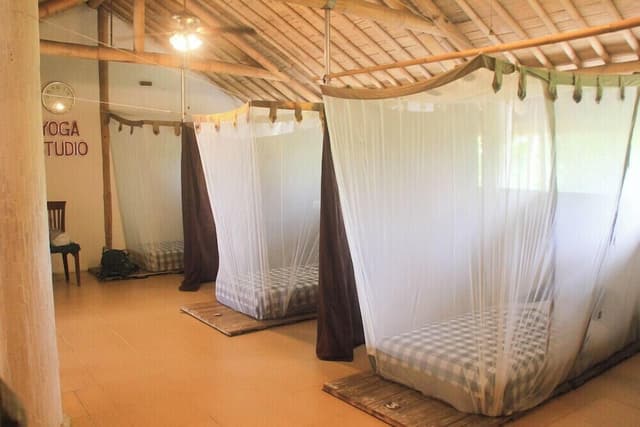 Standard Shared Dormitory