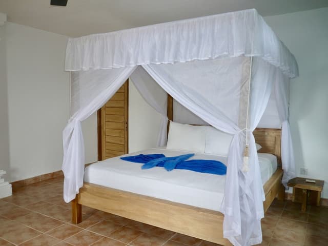 Double or Twin Room, Ocean View