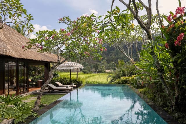 Ubud Pool Villa, 1 King Bed, Ubud View, Private Pool
