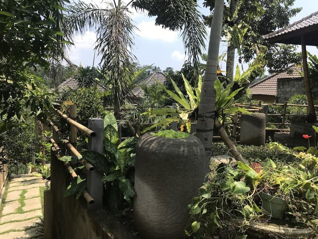 Deluxe Room, 1 King Bed, Non Smoking, Mountain View
