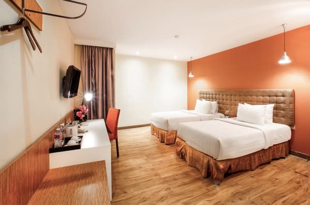 Superior Double Or Twin Room