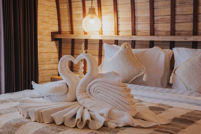 Luxury Room