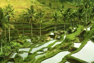 Bali Shore Excursion : Customize Private Full day Tours