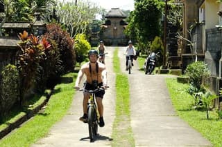 Best Taro - Ubud Bali Bicycle Tours