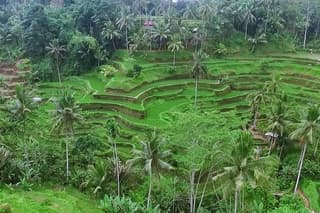 Full Day Bali Private Top Tour Attractions 10-12 hours