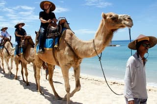 Camel Safari One Hour Watersport, Lunch Seafood At Jimbaran Beach