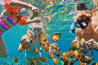 Bali Blue Lagoon Snorkeling with Private Transport and Lunch