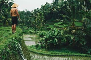 Ubud Tour: Best of Ubud with All Inclusive