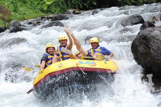 Combination Heaven Gate, Rafting, & Swing All Includes