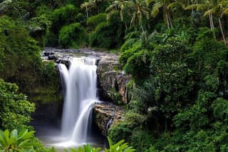 Ubud Waterfall Tour