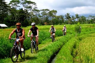 Rice Paddy Cycling Tour
