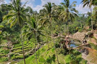 All Inclusive Ubud Experience