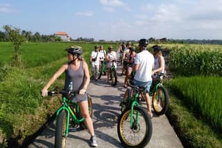 Ubud Rice Terraces eBike Private Tour