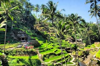 Hire Bali Driver