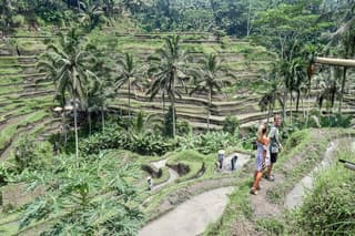 All BEST NATURE, Culture and Heritage: Private Tour in UBUD