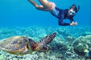 All INCLUSIVE Bali snorkeling at blue lagoon and tanjung jepun