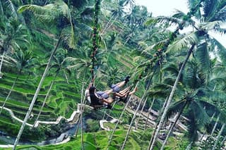 Jungle Swing & White Water Rafting Experience