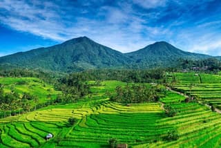 Tanah Lot - JatiLuwih (UNESCO) - Ulun Danu Temple - Wanagiri Hill