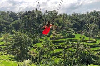 Rice Terrace and Bali Swing Tour