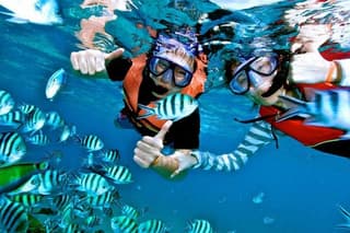 Snorkeling Experience At Blue Lagoon Bali With Lunch And Transfers