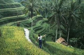 Bali Full Day Traditional Village Sightseeing