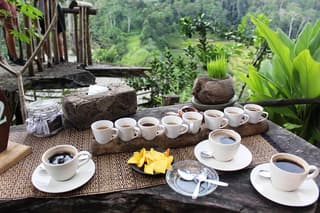 Bali INTERESTED 2 Days(Middle, North, South) BEAUTIFUL BALI Customized Packages